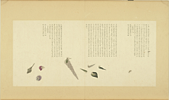 木槿花开(采集)采集到古画-动物