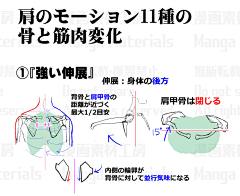 飘渺の尘采集到教程