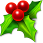 圣诞冬青图标 iconpng.com