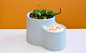 一套花器，为世界排名第一的餐厅 Noma 量身而做｜这个设计了不起_设计_好奇心日报