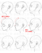 procreate如何保留吸色？怎么开始分辨率？如何灯光？