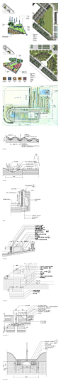 雨水花园、生态景观、海绵城市可持续现代都市景观--园林景观设计素材店 (3)