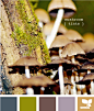mushroom tints