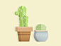 Cactus buddies
