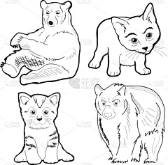 猫,熊,可爱的,自然,哺乳纲,动物,矢量,尾巴,野生植物,爪