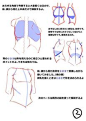 How to draw anime Anatomy