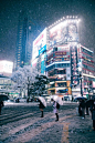The snow storm in Tokyo last week, Japan