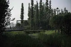 遂宁滨江公园 - hhlloo : 为遂宁增加一个美丽的城市名片，为市民增加一处喜闻乐见的滨水休闲场所