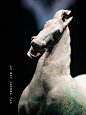 东汉 铜奔马 马踏飞燕 甘肃省博物馆 - 小红书