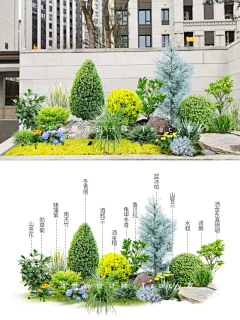 点都不淑女采集到ps植物