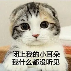 【粉丝整理】萌猫咪系列表情包，萌你一脸。感谢@半半半半半夏_ 整理，仅供娱乐， 图自网络，版权属于原作者 ​​​​
