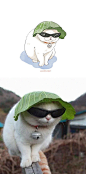 001lsJYOly1gxkad09nscj60jg13c41o02