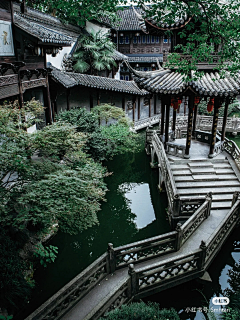老猫就是我采集到场景
