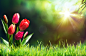 16sucai_P586F002_00A