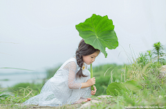 朵朵8728采集到小清新