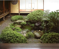 ME花草园艺采集到坪庭之美