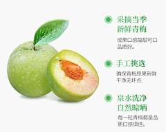 星河可坠采集到青梅