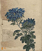 【  繆谷瑛 · 花卉欣赏 …  】