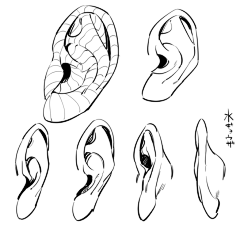 九恒采集到人体结构