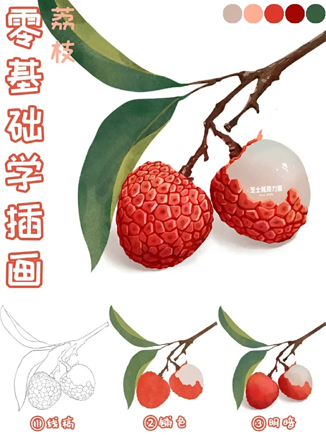 荔枝画法‖小物件插画教程