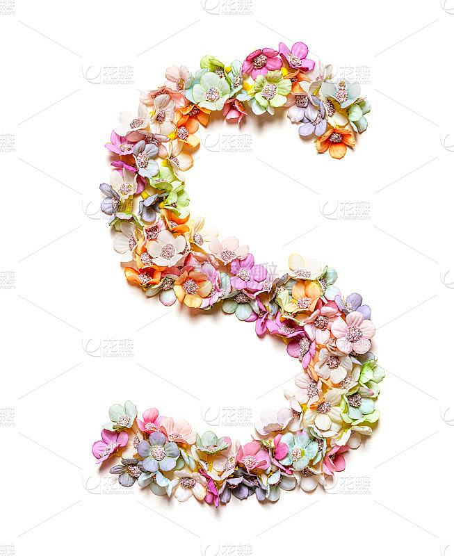字母s。花的字母。一组花字母孤立在白色上。花字体。