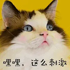 流鼻血害羞猫咪宠物GIF萌宠表情包 