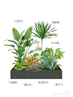 周周qu采集到花箱