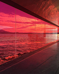 我爱平子采集到Red