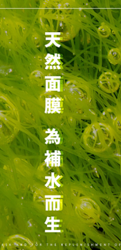 小窝瓜-7788采集到品牌升级、文化