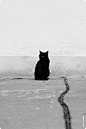 【黑猫~】 -- TOPIT.ME 收录优美图片