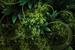 抽象计算机生成的植物分形设计。用于平板电脑背景、桌面壁纸或创意封面设计的数字艺术品.