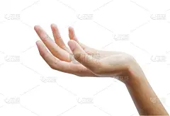 美丽女人的手孤立在白色背景上