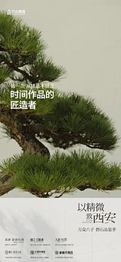 木木精灵采集到万众