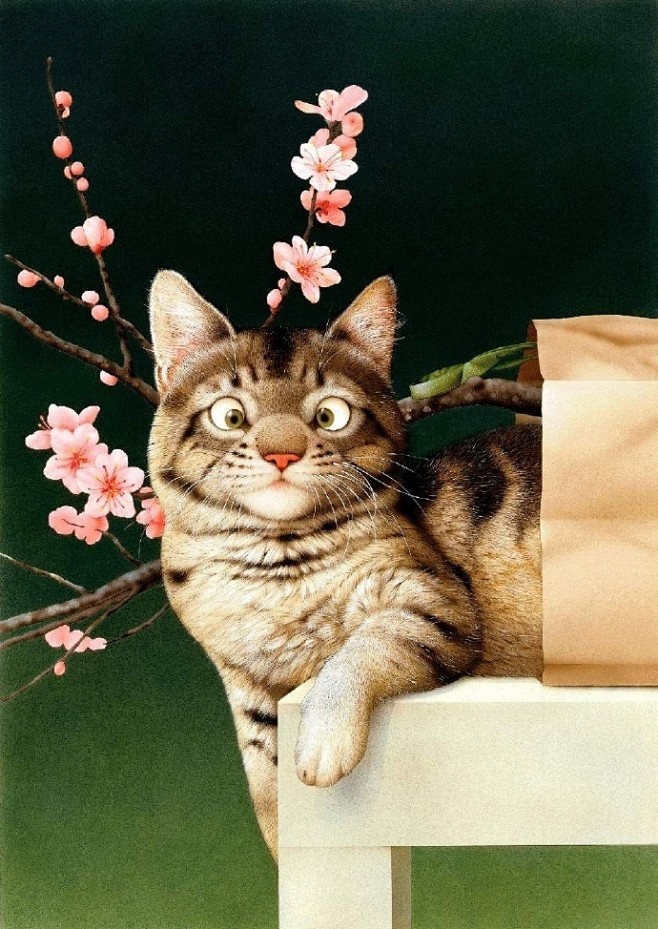 插画师  村松诚  Makoto Mur...