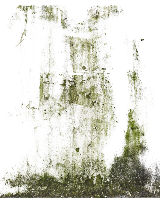 DecalsStain0071_1_L