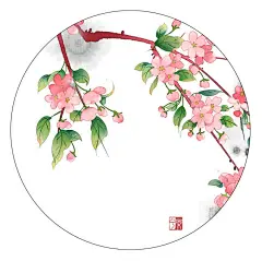 古风素材——花2-樂兮_古风,水彩,水墨,花卉,海棠,樱花,紫藤,薰衣草_涂鸦王国插画