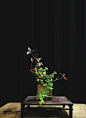 花器：罗隐隐制竹一重切    花材：杜鹃枝 野菊