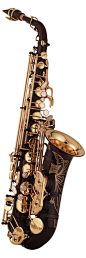 Yanagisawa A991B Alto Saxophone