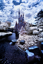 Walt Disney World Winter Wonderland?
+ 1/60s . f/13.0 . ISO 200 . 11 mm