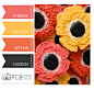 Category : Color Crush Palette | Photographer Templates by Photo Card Boutique - Page 11