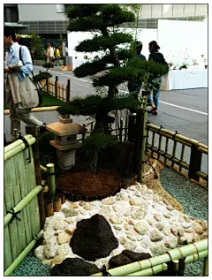 日本园艺展览 - 白毛 - 白毛的博客