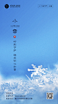 小雪金融保险节气祝福文艺简约海报