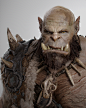 Warcraft_Orgrim