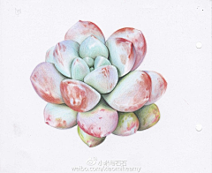 麻辣豆腐7采集到水彩画