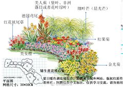 明玕123采集到园艺