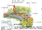 夏日暖色调花境图文示例7组合集，89为荫生花境组合。花境并不难，难就在不敢动手，容易就在动手的那一刻。这几组都是很简单的组合，基本都是多年生，大家可以根据自己喜欢自行调整。如果喜欢，请转发支持，谢谢#阿鹏花境# ​​​​