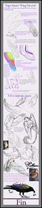 Wing Tutorial by SunStateGalleries.deviantart.com on @deviantART ✤ || CHARACTER DESIGN REFERENCES | 解剖 •  علم التشريح • анатомия • 解剖学 • anatómia • एनाटॉमी • ανατομία • 해부 • Find more at https://www.facebook.com/CharacterDesignReferences & http://www.