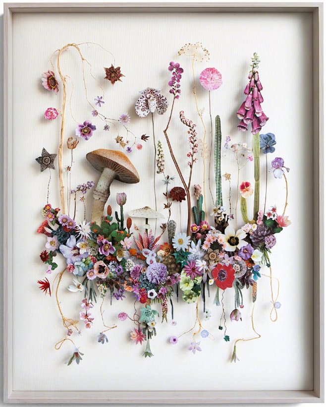 荷兰艺术家annetendonkelaar花草拼贴画