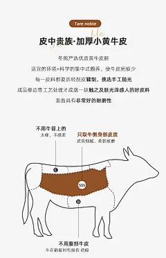 冬熊真皮沙发奶油风客厅小户型轻奢现代大坐深钢琴键弧形白色沙发-tmall.com天猫