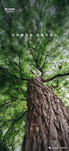 地产稿采集到节气稿